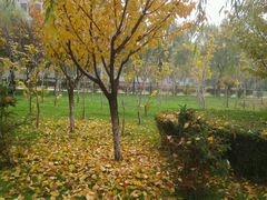 -长安大学(北校区)