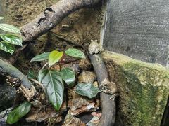 -香港海洋公园