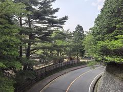 -神户市立六甲山牧场