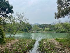 -西溪国家湿地公园