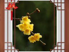-月坛公园