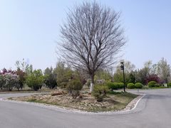 -水西公园