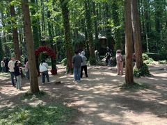 -日照海滨国家森林公园