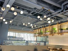 -翡翠拉面小笼包Crystal Jade(上海浦东国际机场T1店)