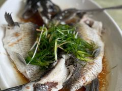 清蒸山涧鲩鱼-茗荔园农庄(大涌店)