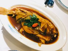 红烧河豚-肆月河豚·新淮扬(金融街店)