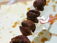 -高原第一家资格烤羊肉(玉林南路总店)