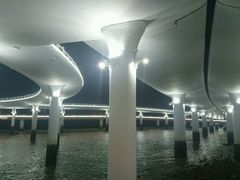 -演武大桥观景平台