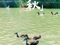 -天津水上公园