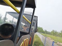 -西青郊野公园