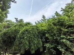 -木塔寺遗址生态公园