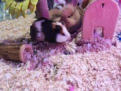 -大玩家(拱墅万达店)