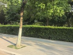 -南翠屏公园