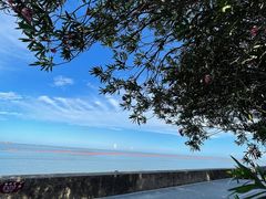 -北海金海湾红树林生态旅游区