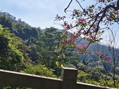 -水濂山森林公园