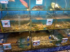 水产区-范饭椰林川湘味海鲜·椰子鸡(三亚湾椰梦长廊店)