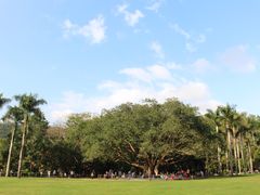 -深圳仙湖植物园