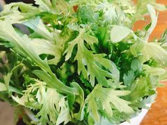 茼蒿-望蝎门羊蝎子火锅(祭城店)