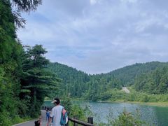 -武陵山森林公园