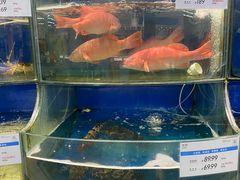 -果蔬好生活超市(东湖店)