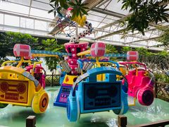 -南宫五洲植物乐园