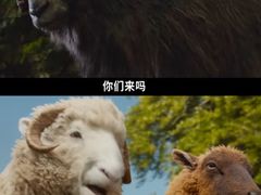 -飞扬影城(正佳IMAX店)