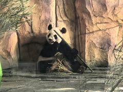 -泉州海丝野生动物世界