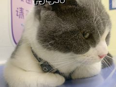 -芭比堂动物医院广州顽皮分院