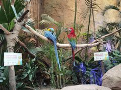 -杭州开元森泊度假乐园