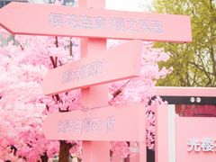 -金茂览秀城