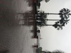 -平湖九龙山庄园圣马可酒店