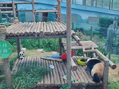 -大连森林动物园