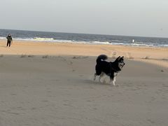 -北戴河圣蓝海洋公园