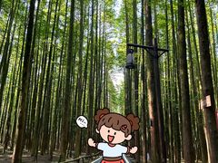 -山王坪喀斯特国家生态公园