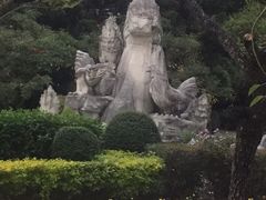 -金鸡山公园