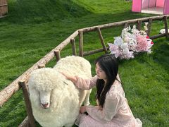 -陶辛水韵