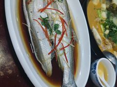 -丹水桥地锅鱼·翘嘴鲌·地方特色全鱼宴(丹江口大坝店)