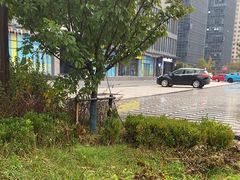 -烟台金沙滩喜来登度假酒店