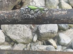 -安徽天堂寨风景区