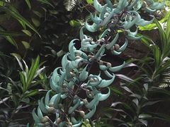 -华南国家植物园-售票处