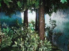 -吉林省自然博物馆