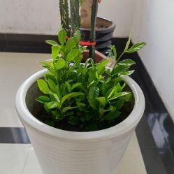 -爱尔乐美孕产瑜伽·普拉提