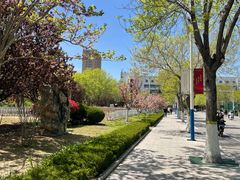 -山东大学(威海校区)