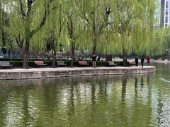 -团结湖公园