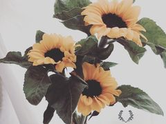 -花木兰花艺MULAN(温馨花园店)