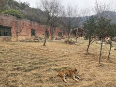 -无锡动物园·太湖欢乐园