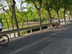-状元楼(金溪路店)