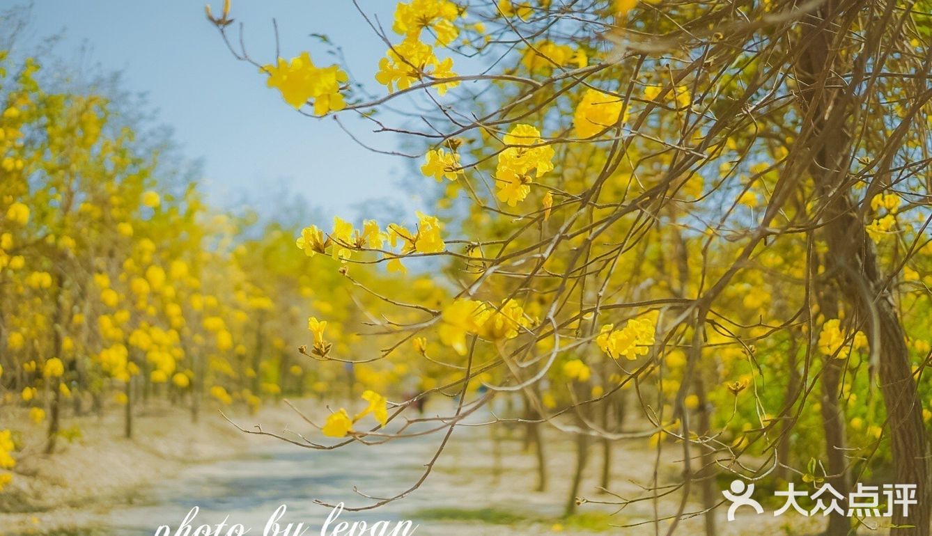 惠州周边游｜春节快乐的好去处[调皮]