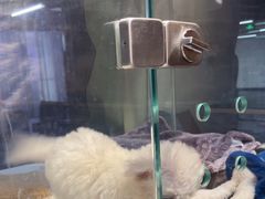 -FAELING PETS美天灵宠物(富力广场店)
