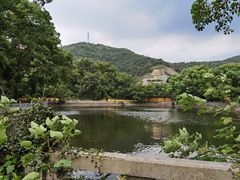-阿育王寺